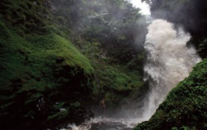 The White Nile and Congo River Watershed, Functioning Highland Water Tower System, Nyungwe Rainforest, Isumo Waterfall, Rwanda