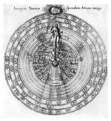 anima-mundi-illustration