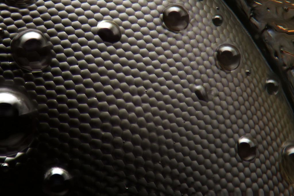 Bee eye