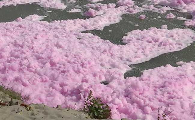 Pink foam from toxic industrial waste floating in the river Yamuna at Wazirabad in North Delhi, India