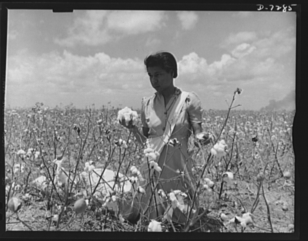 A Mexican Farmer Worker in USA