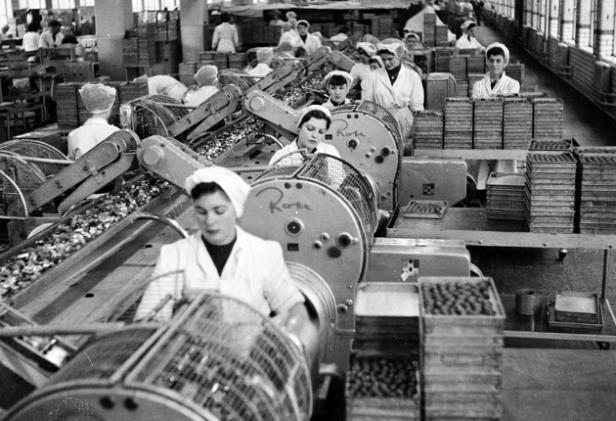 factory-work