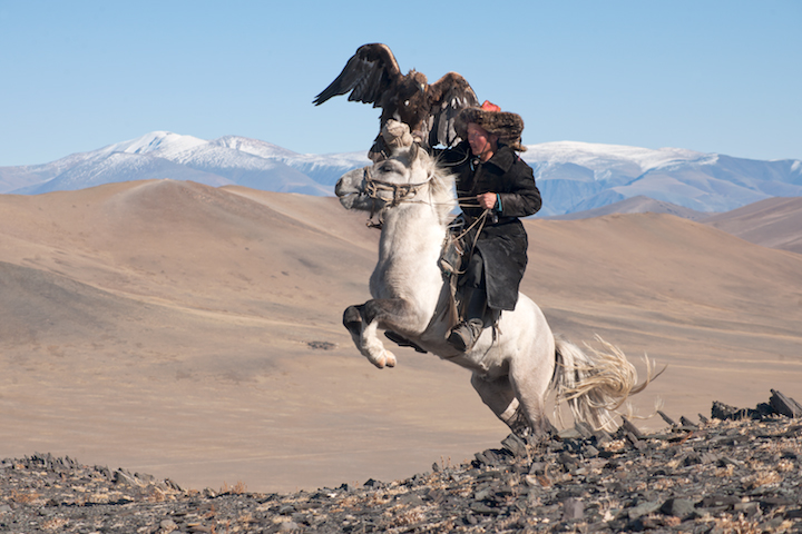 p44white-pegasus-study-i-deloun-highlands-olgii-province-mongolia_2010