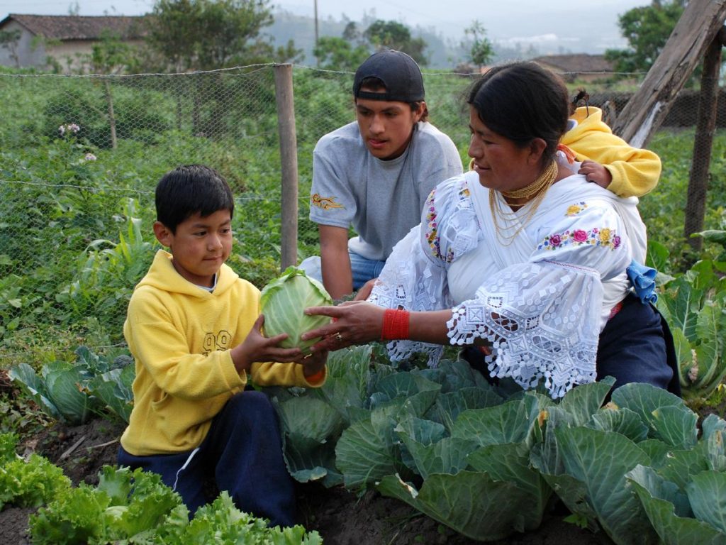 Family food production, Equador