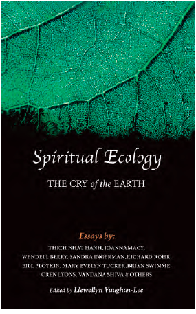 Spiritual Ecology - the Cry of the Earth
