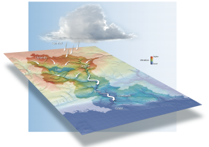 p29 Quilligan Watershed #4