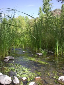 Courtesy of Arizona Department of Water Resources