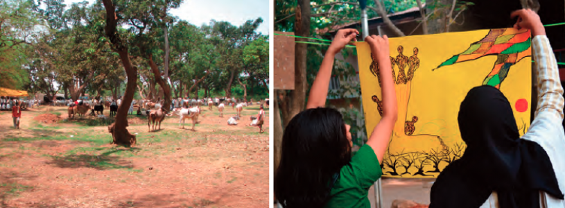 Cow fair in village; TISS students pinning their Big Idea