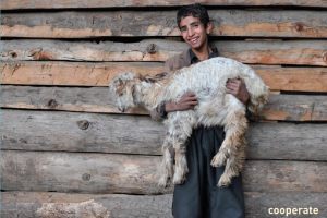 Boy and goat