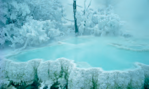 Winter | Michael Quinton