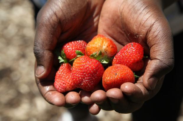 strawberries