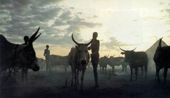Nuer cattle camp in southern Sudan