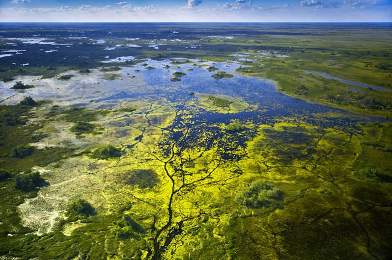 Okavango river