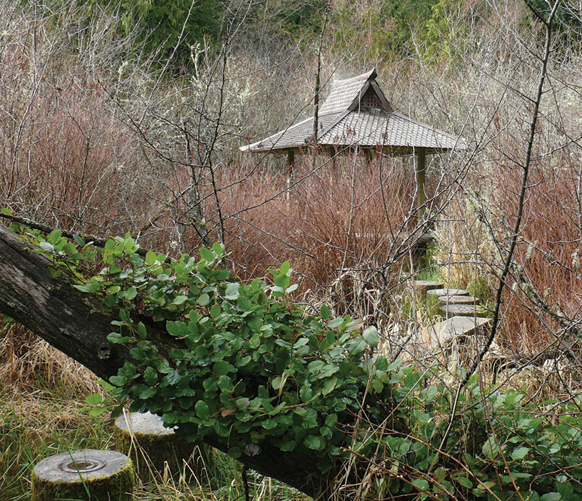 Moon-Viewing Hut, photography | Dianne Grob