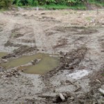 Flattened field