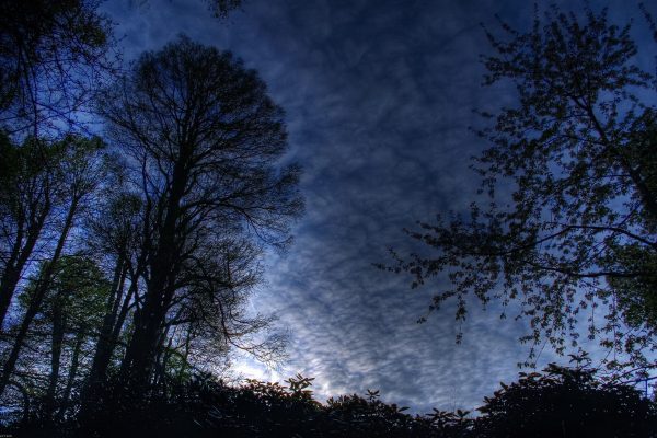 A Dark Night of the Soul and the Discovery of Meaning