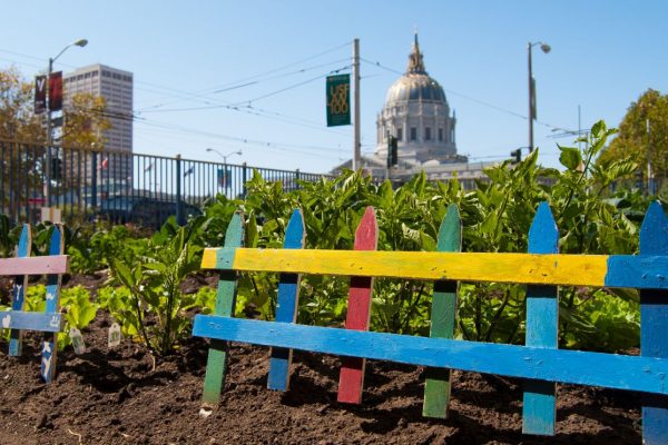 Hyperlocal Food | Growing a Garden on City Land