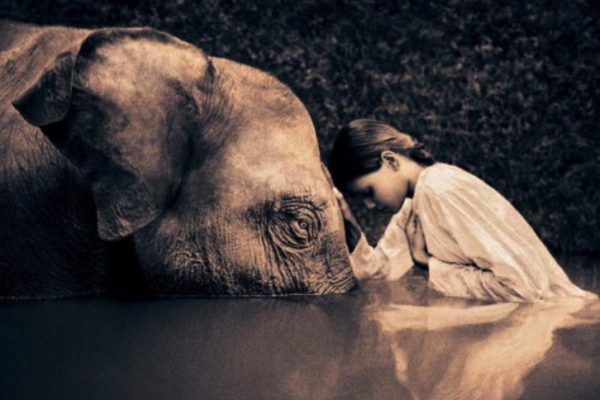 Religious Arrogance and the Coming Humility Revolution in Spirituality