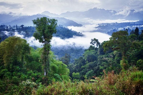 SAMARU | Living the spirit of the Amazon