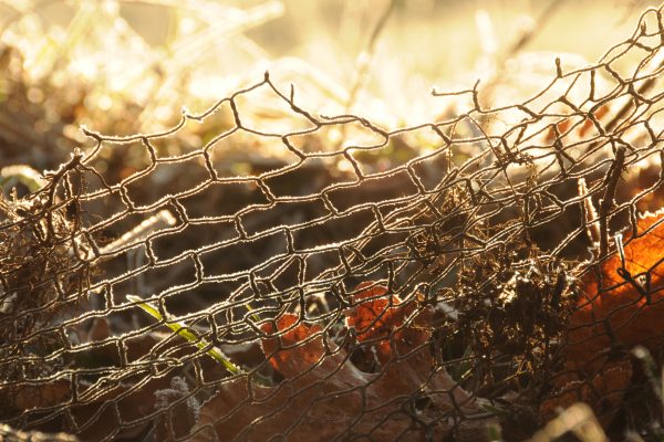 Resilience | Confronting the Unimaginable