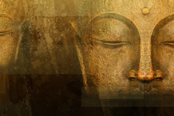 Editorial | Awake, Awakened, Woke!