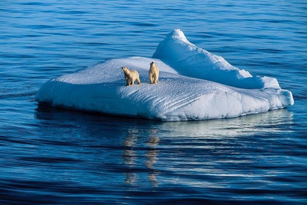 Excerpt from ‘Climate, A New Story’ | and Interview with Charles Eisenstein