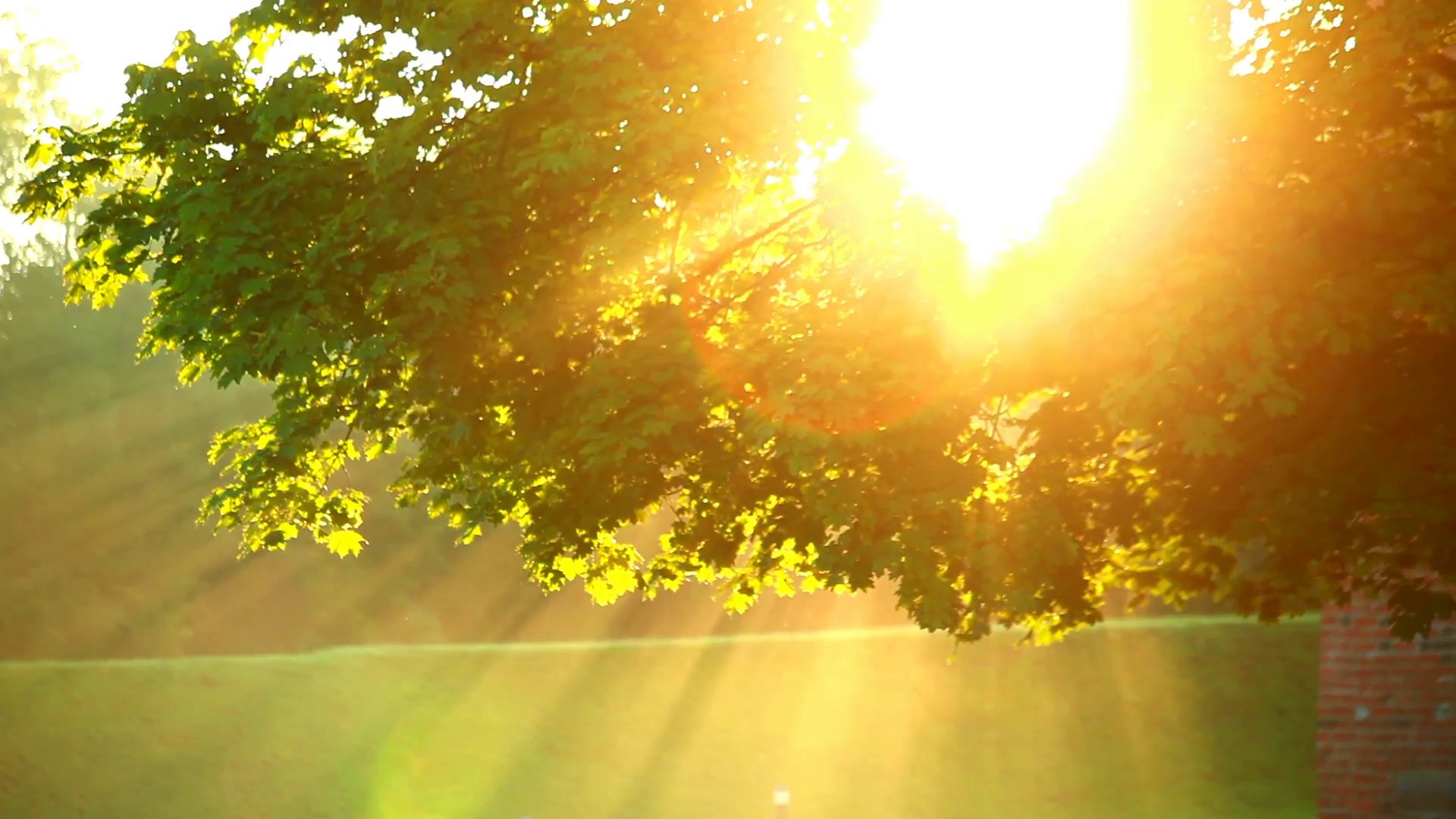 Fragile Gold