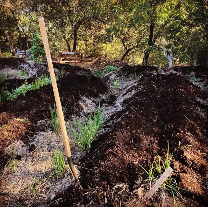 Inoculated compost enriches the vitality of soils in Sonoma County by transforming locally sourced elements into new life. 