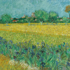 Seeing Truth in Van Gogh