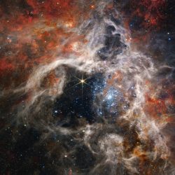 Origin | from "The Story of Gaia"