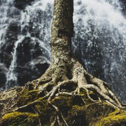 zach-reiner-hW11fwjzVfA-unsplash