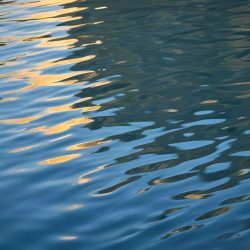 allec-gomes-ckPWEXOdAWw-unsplash