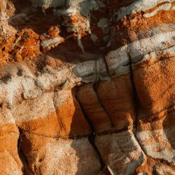 fellipe-ditadi-a6Hpe7Duhqk-unsplash