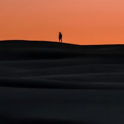 pawan-thapa-9ue6p-LSDoM-unsplash copy