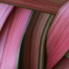 chris-linnett-hQ2yXofOjKI-unsplash