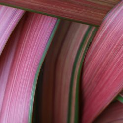 chris-linnett-hQ2yXofOjKI-unsplash