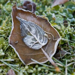 georg-eiermann-ws0su3DhT7M-unsplash