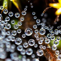 sini-tiainen-gcEhitupFAk-unsplash