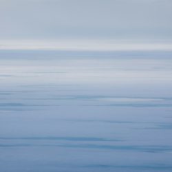 daniel-mirlea-_5eo1NNcuvM-unsplash