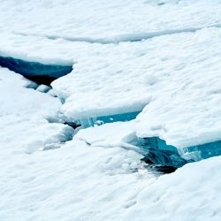 tasha-marie-qRLKOJAJ7TA-unsplash