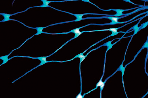 Kosmos Publishes Original Research Report: ‘Connecting for Change’