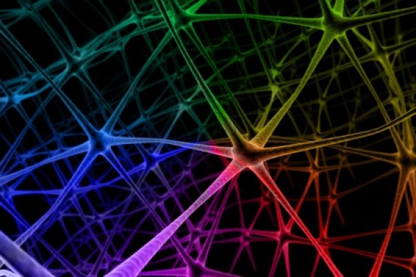 Five Insights about Global Transformation from the Kosmos Study, Connecting for Change