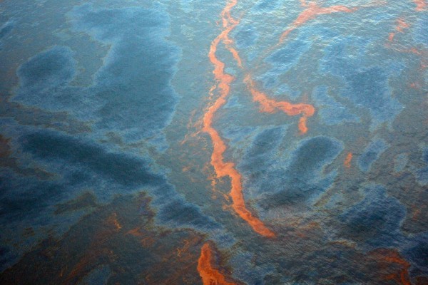 Five Years after BP Oil Spill: Focus Should Be on Continued Need for Restoration