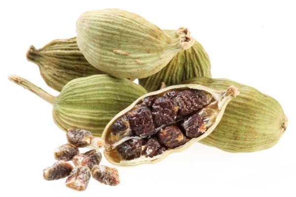 Intellectual Plunder: Seed, Food and Medicine