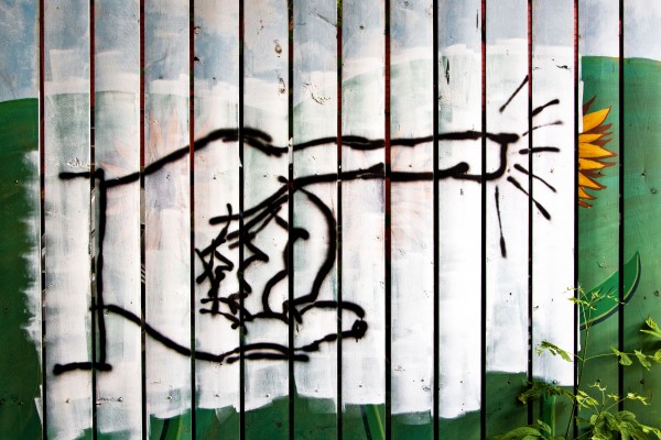 ‘Double Enclosure’- the shut down of democratic accountability, participation and transparency