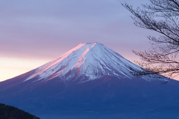 Why The Fuji Declaration? What It Means for Our Life and Our Future